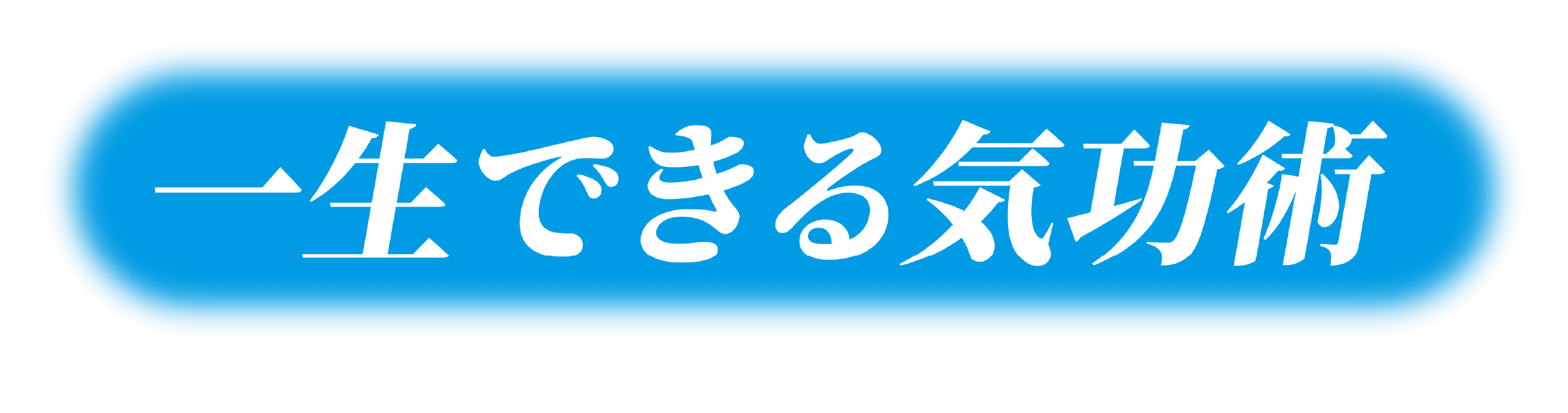 一生できる気功術